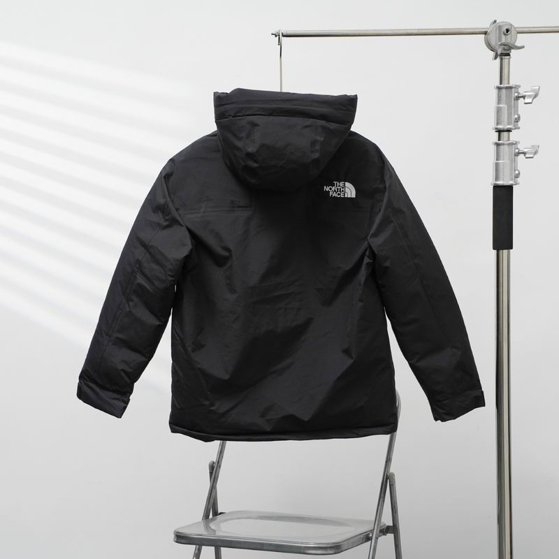 Veste The north face